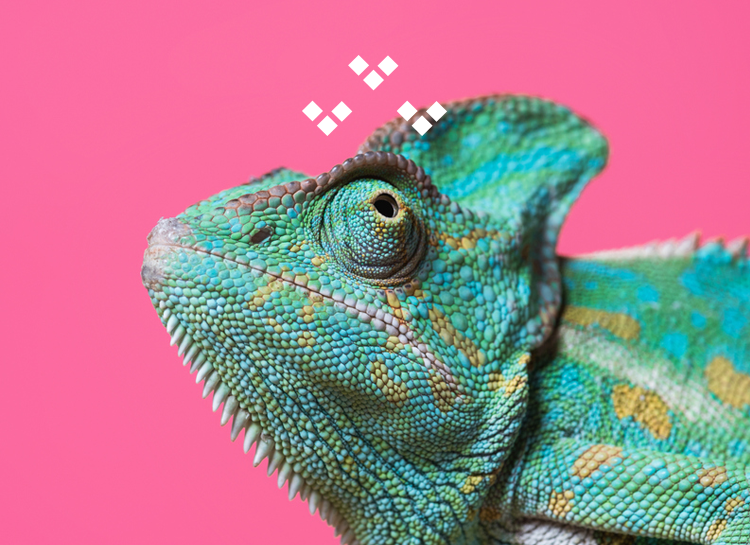 Colorimétrie et chaîne graphique