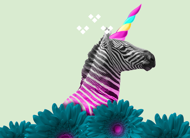 Les codes de la narration visuelle