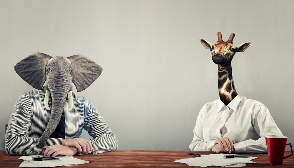 Pitcher un livre, ça s'apprend — et ça change tout