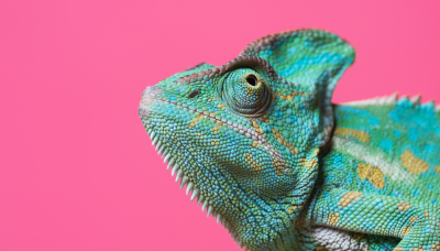 [Nouvelles dates de formation :  Colorimétrie et chaîne graphique]