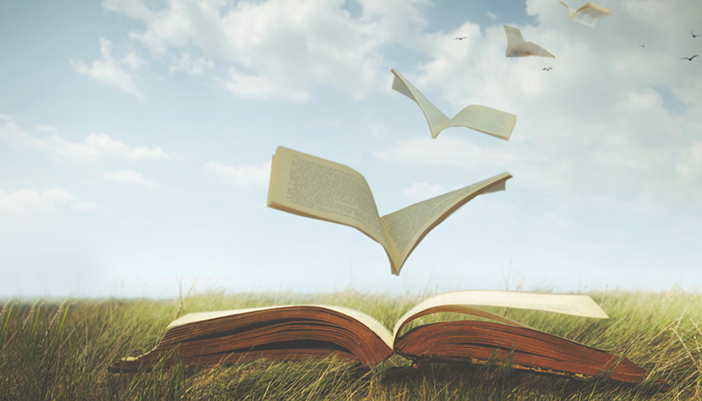 Dans les coulisses du métier d’éditeur - 2ème édition